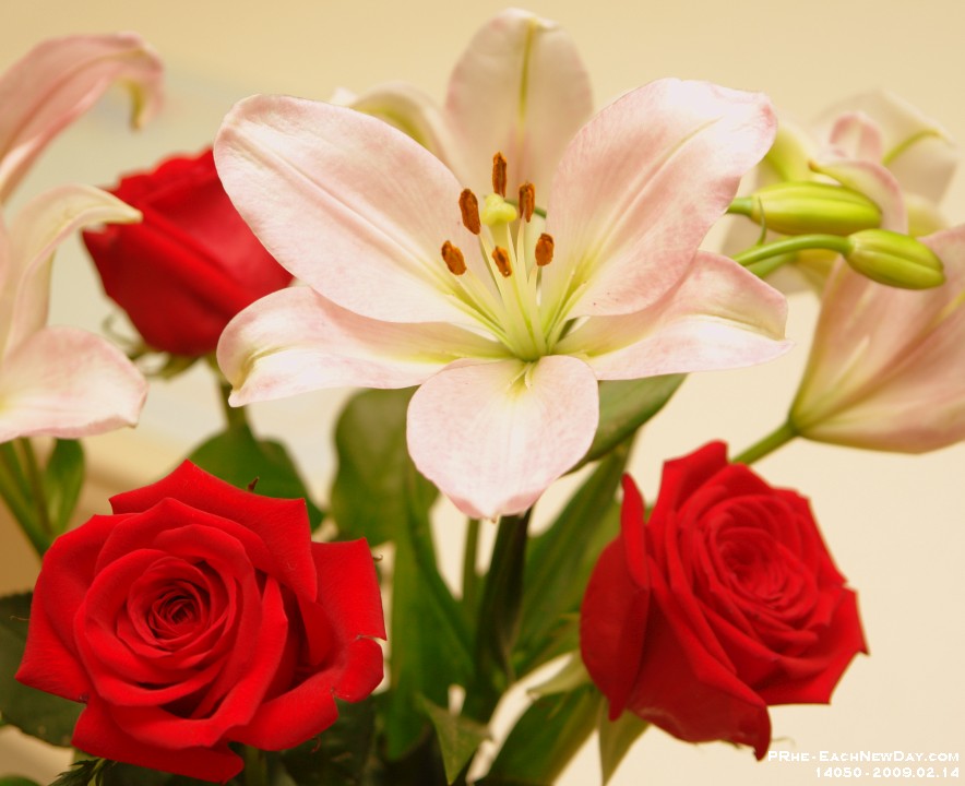 14050CrLeSh - Beth's Valentine's flowers